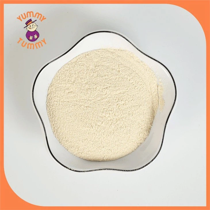 Chinese spices garlic powder (4)